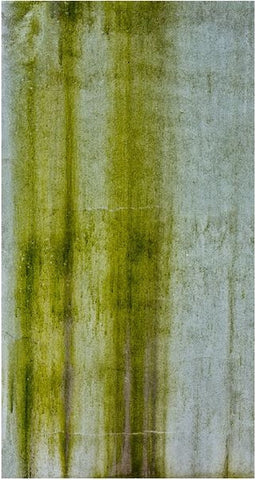 Green Weathering, View No. 2 Framed - Gladwyne, PA - Michael Spewak
