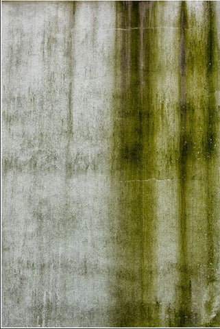 Green Weathering, View No. 3 Framed - Gladwyne, PA - Michael Spewak