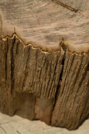 Petrified Wood Side Table - Bernhardt Interiors