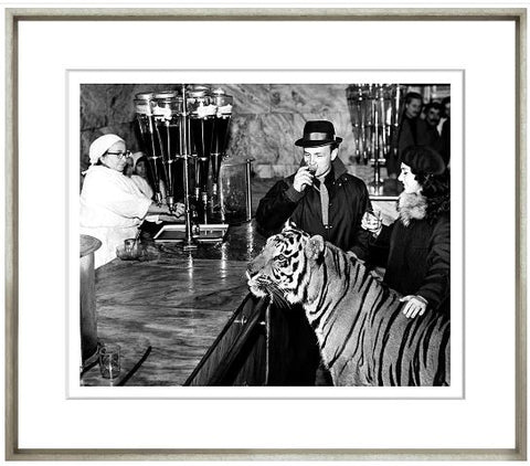 An Obedient Tiger - Trowbridge