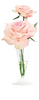 Rose - Natural Decorations Inc