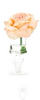 Rose - Natural Decorations Inc
