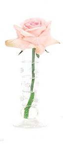 Rose - Natural Decorations Inc