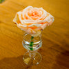 Rose - Natural Decorations Inc
