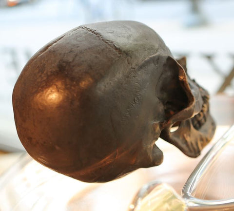 Antique Bronze Metal Skull - Regina Andrew Design