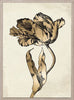 Sieger Tulips 1, Gold Leaf - Natural Curiosities