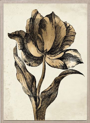 Sieger Tulips 2, Gold Leaf - Natural Curiosities