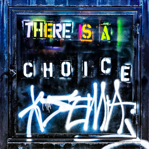 There Is A Choice No. 1 - Sylvie Rose & Michael Spewak