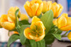 Tulip Yellow Grass Square Tower - NDI