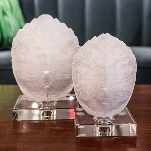 Turtle Shells on Crystal Set of 2 - Regina-Andrew Design