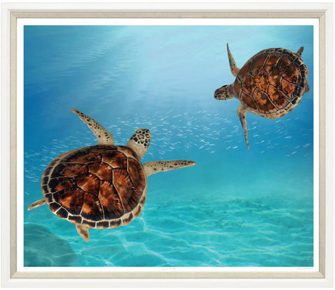 Dinner For Two Turtles - Trowbridge