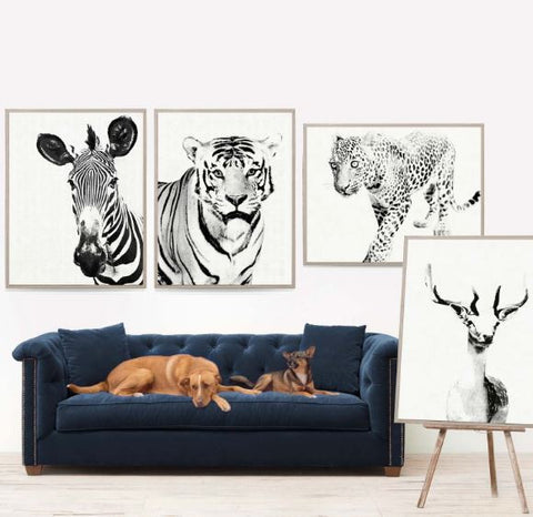 Tylinek Deer - Natural Curiosities