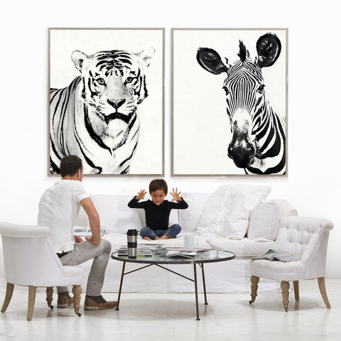 Tylinek Tiger - Natural Curiosities