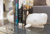 Whale Tale White Bookends - Two's Company