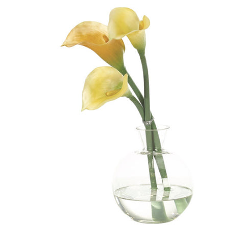 Calla Lily - NDI