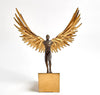 Avian Man Running - Global Views