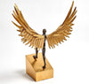 Avian Man Running - Global Views