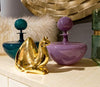 Camel Gold - Nima Oberoi-Lunares