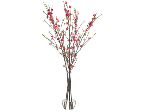 Tall Cherry Blossom - NDI