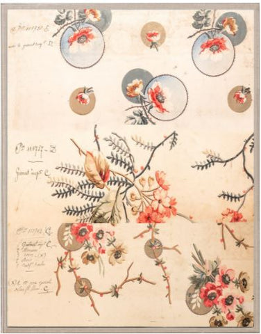 Pignier, Compose - Natural Curiosities