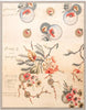 Pignier, Compose - Natural Curiosities