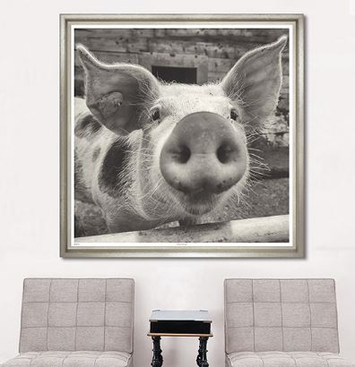 Farm Friend - Trowbridge