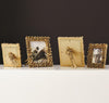 Facet Cluster Frames, Brass - Global Views