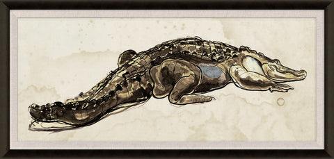 Hanriout Giraud 1 - Natural Curiosities
