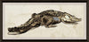 Hanriout Giraud - Natural Curiosities