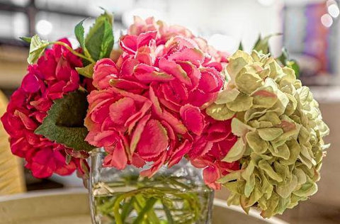 Hydrangea - NDI