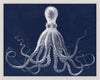 Lord Bodner's Octopus Blue - Natural Curiosities