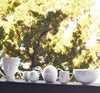 Muse Serving Bowl - Jonathan Adler