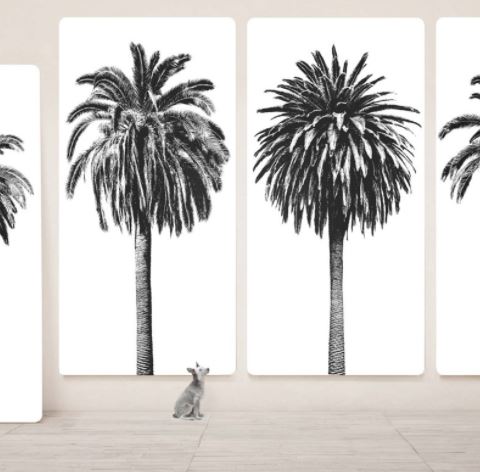Elysian Palm Panel 4 - Natural Curiosities
