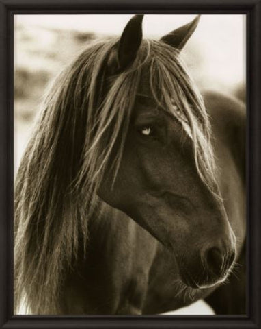 Hyden Horses: Pensive - Natural Curiosities