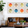 Planetary Series - Natural Curiosities