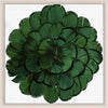 Queen Victoria's Feathers 3 - Natural Curiosities