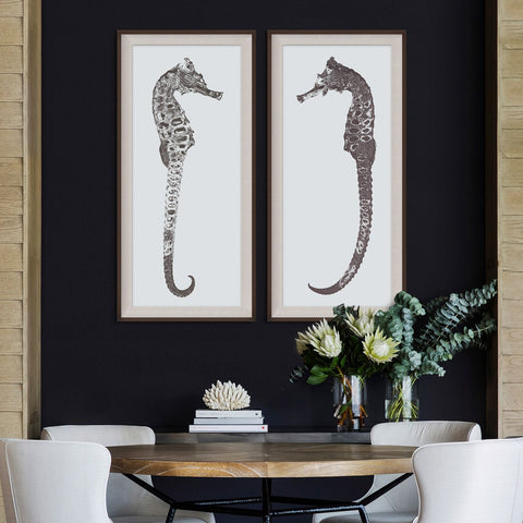 Rumana Seahorse 1 - Natural Curiosities