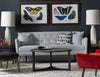 Suri Sofa - Precedent