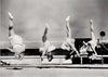 Trapeze 3 - Natural Curiosities