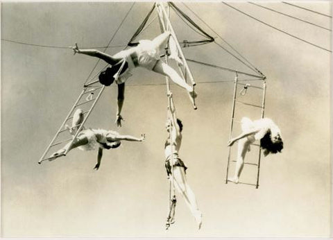 Trapeze 1 - Natural Curiosities