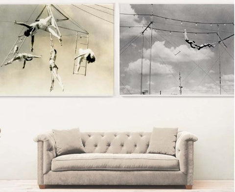 Trapeze 3 - Natural Curiosities