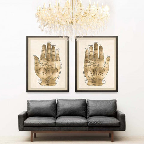 Gallicus Hand 2 - Natural Curiosities